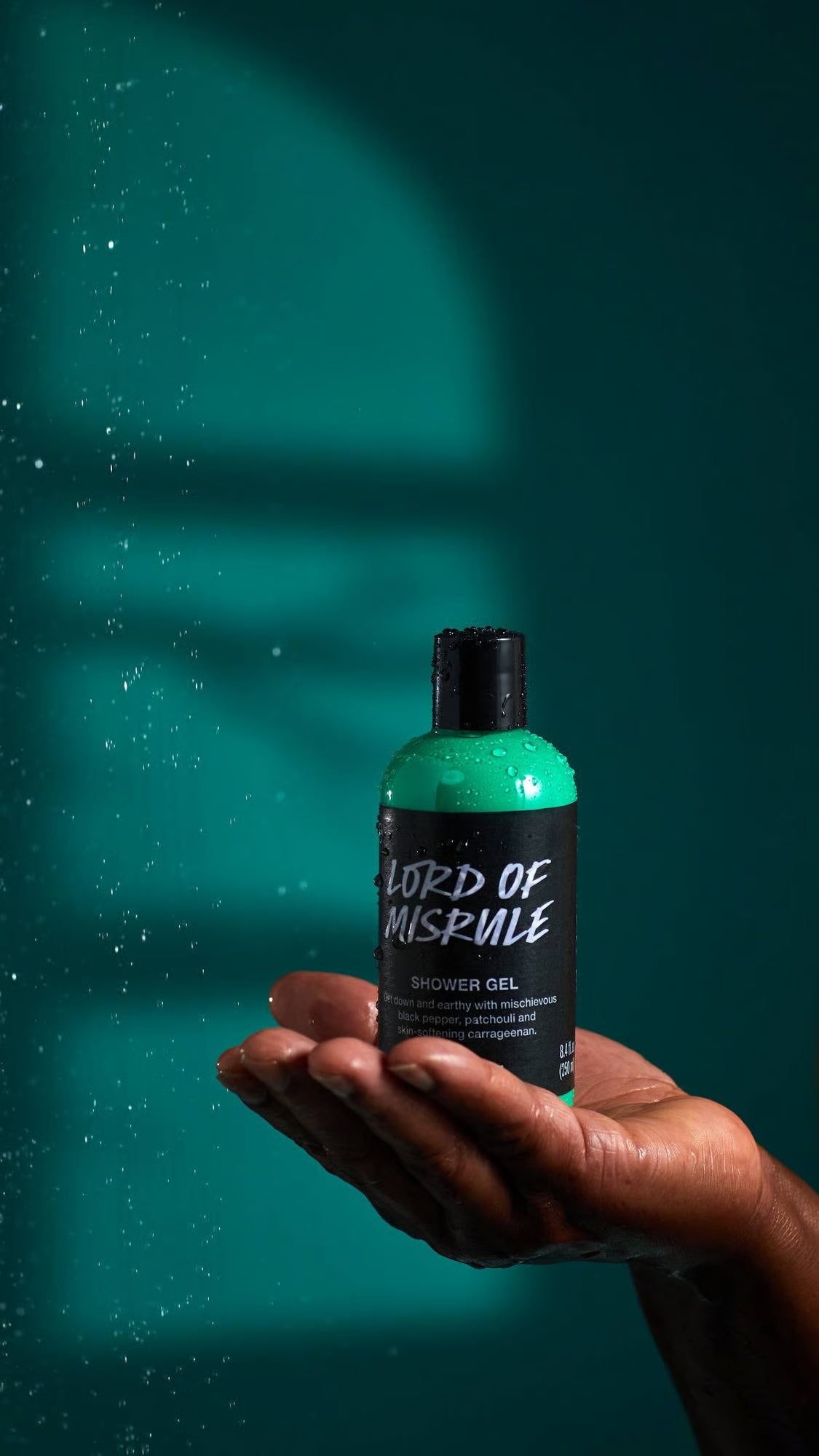Lord of Misrule