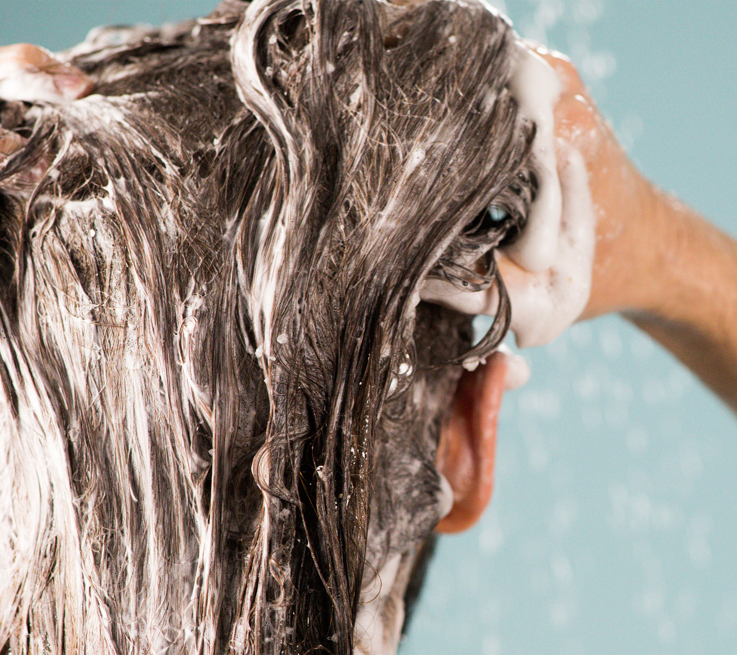 Big shampoo
