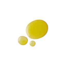 Golden Egg