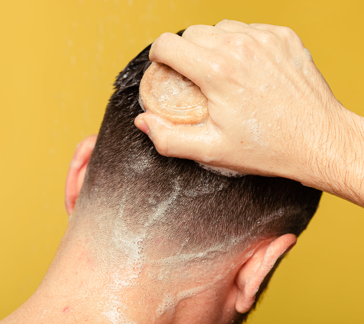 Honey I Washed My Hair