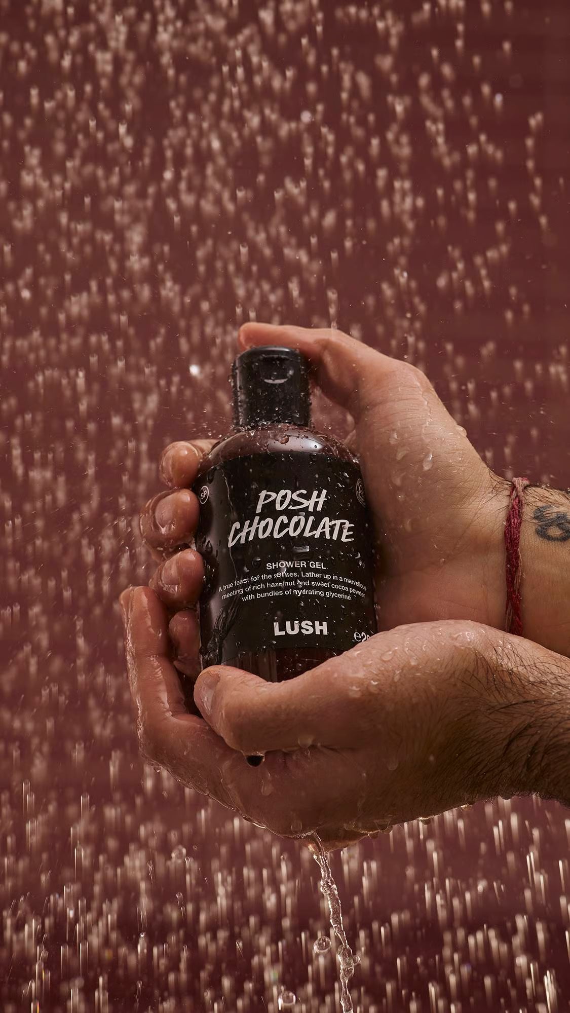Posh Chocolate